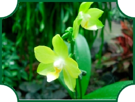 DSCN29645966.jpg