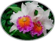 DSCN29505155.jpg